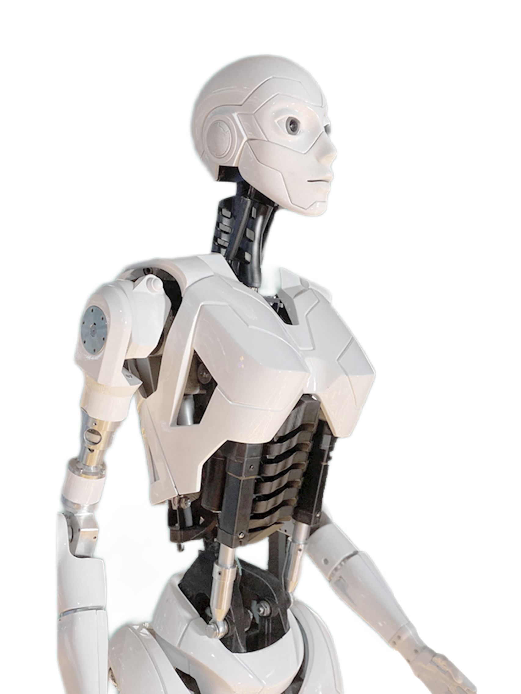cyberstein-k-na