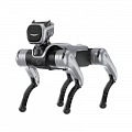 MagicDog Pro
