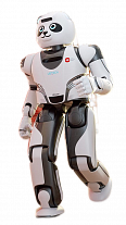 Ubtech Panda Robot