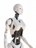 Cyberstein K-NA